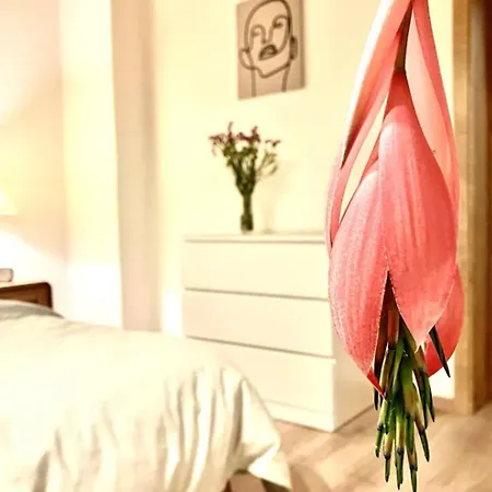 Quartier Planitz Apartment *